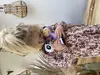 Fisher-Price Maracas — пара маракасов Photo 4
