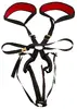 Bad Kitty Body Swing šūpoles‑harness 50066430000 Photo 4
