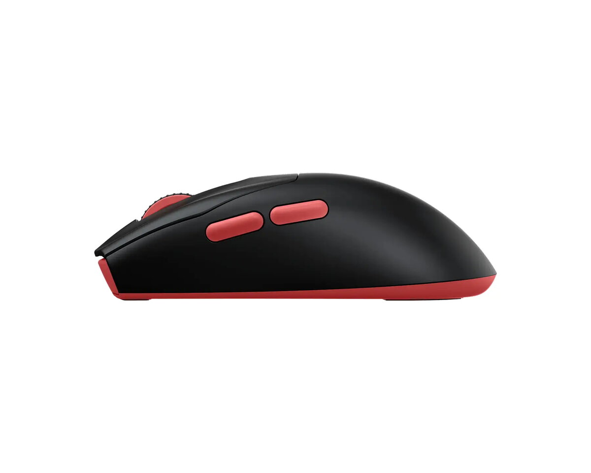 Mouses
