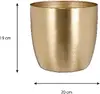 header-product