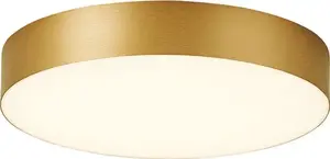 Griestu lampa REALITY BRUCE 40W 3000K Zelta — silti balta gaisma