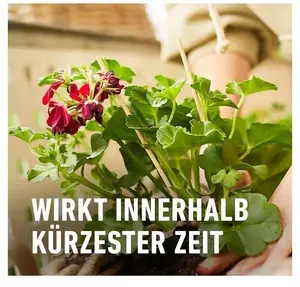 Šķidrais mēslojums pelargonijām Sourcing 1,3 l