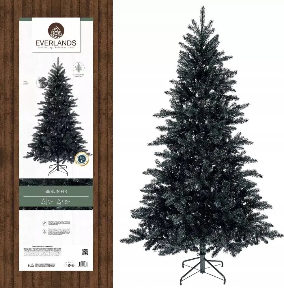 Holiday & Decorative Lighting