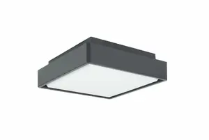 Outdoor Ceiling Light Suma Beni BN-KW200 IP65 1x18W LED 4000K 1069 lm dark ash