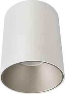 Потолочный спот NOWODVORSKI Eye Tone 8928, 1x10W, GU10, бело‑серебристый