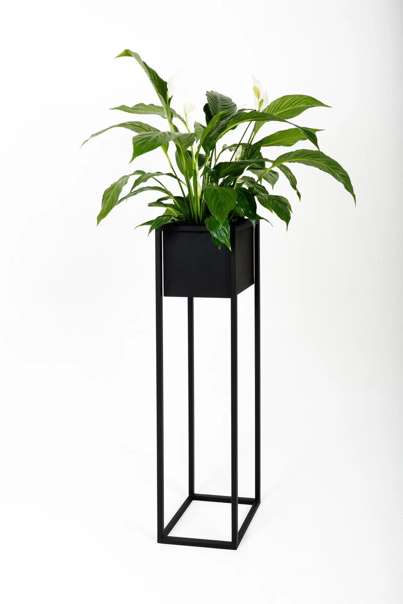 Flower Pots