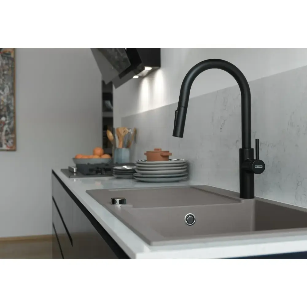 Кухонный смеситель Franke Pescara L 115.0575.968 Photo 2