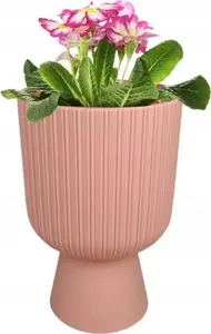 Puķu pods FORM_PLASTIC FO371801 universāls plastmasas, gaiši rozā, Ø14 cm, augstums 20,5 cm