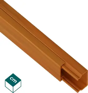 Electrical trunking AKS Zielonka MKE 18x20 2m (model 111380) light wood finish