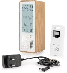 Погодная станция THOMSON WS102TWH с Bluetooth-динамиком и FM-радио