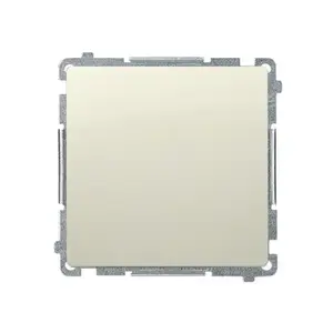 Electrical switch Kontakt-Simon BMW1.01/12, single-pole, plastic housing, 250 V AC, 10 A, IP20/IP44