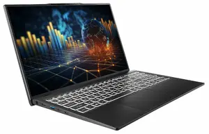 Ноутбук Captiva 100907 Intel Core i7-1355U 15.6 Дюймов Full HD 64GB DDR5 SSD Wi-Fi 6 Черный