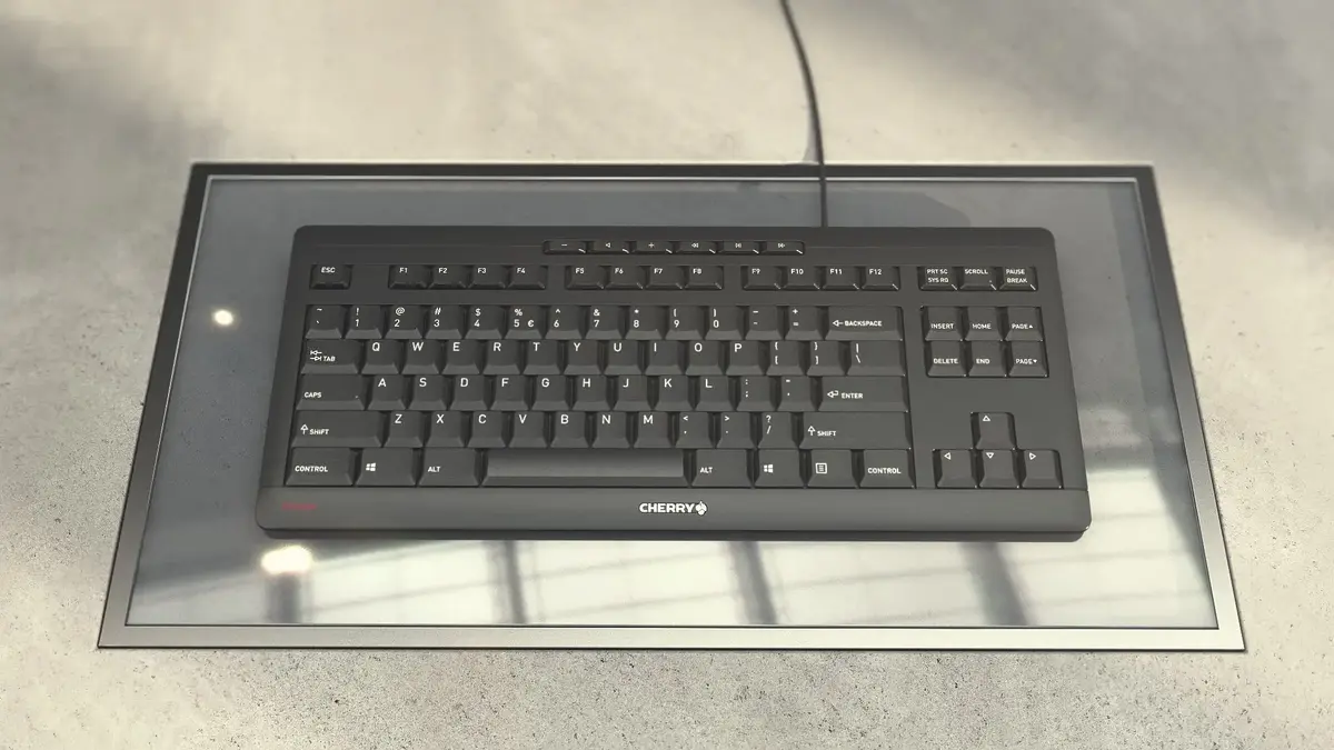Cherry STREAM TKL vada USB QWERTu tastatūra Photo 4