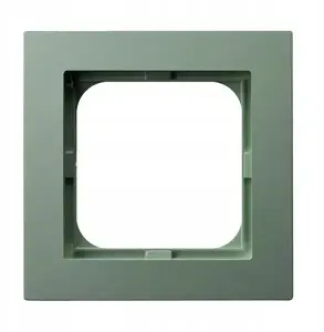 Ospel AS single-frame cover plate R-1G/84, single-gang, matte green