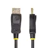 StarTech DisplayPort uz HDMI kabelis 3 m 4K60 HDR Photo 2