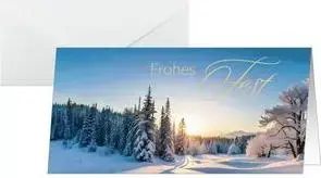 Открытка sigel Winter Wonderland DS638 — формат DIN long, белый картон 250 г/м², для струйных/лазерных принтеров и ксерокса (1 шт.)