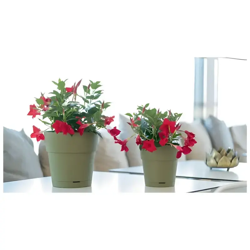 Podziņa stefanplast Ethica Ø40 x 39 cm Photo 2