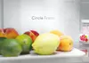 Холодильник Candy ECN2CQTEX206 Photo 17