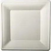 Vienreizlietojama kvadrātforma šķīvis Papstar pure 200 x 200 mm no cukurniedru šķiedras, kompostējams, piemērots mikroviļņu krāsnij (1 gab.)