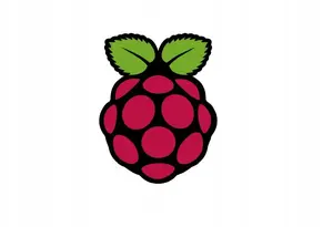 Raspberry Pi 4 Case - Red/White
