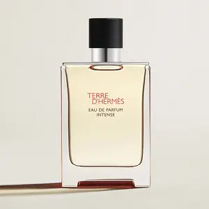 Hermès Terre d'Hermès Eau de Parfum Intense for Men, 100 ml
