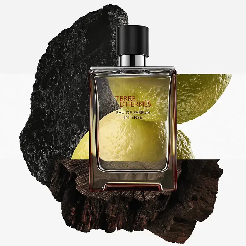 Hermès Terre d'Hermès Eau de Parfum Intense 100 ml Photo 5
