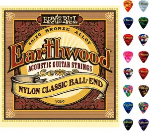 Ernie Ball 2069 Acoustic Guitar Strings