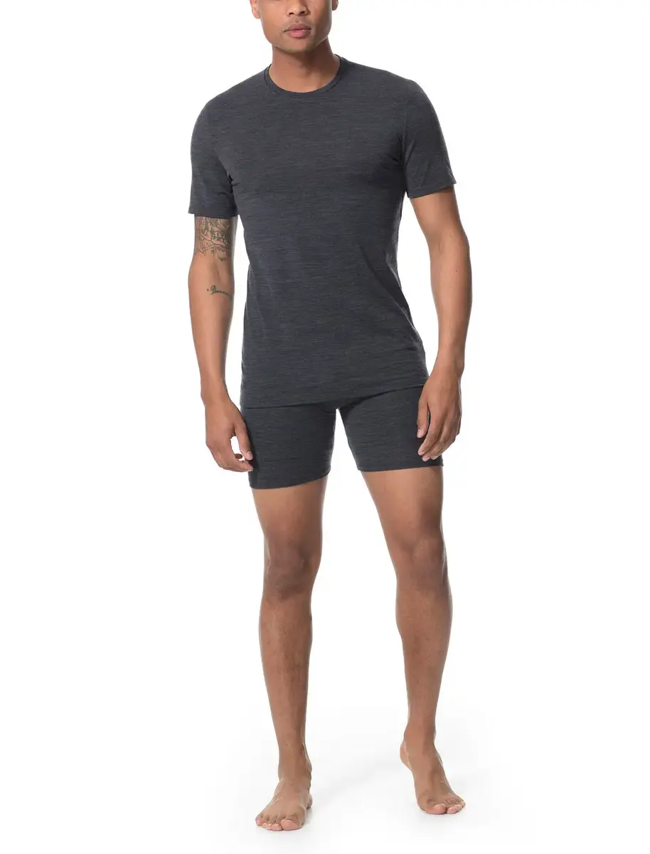Icebreaker Anatomica Men's Crew Neck T-Shirt Photo 3