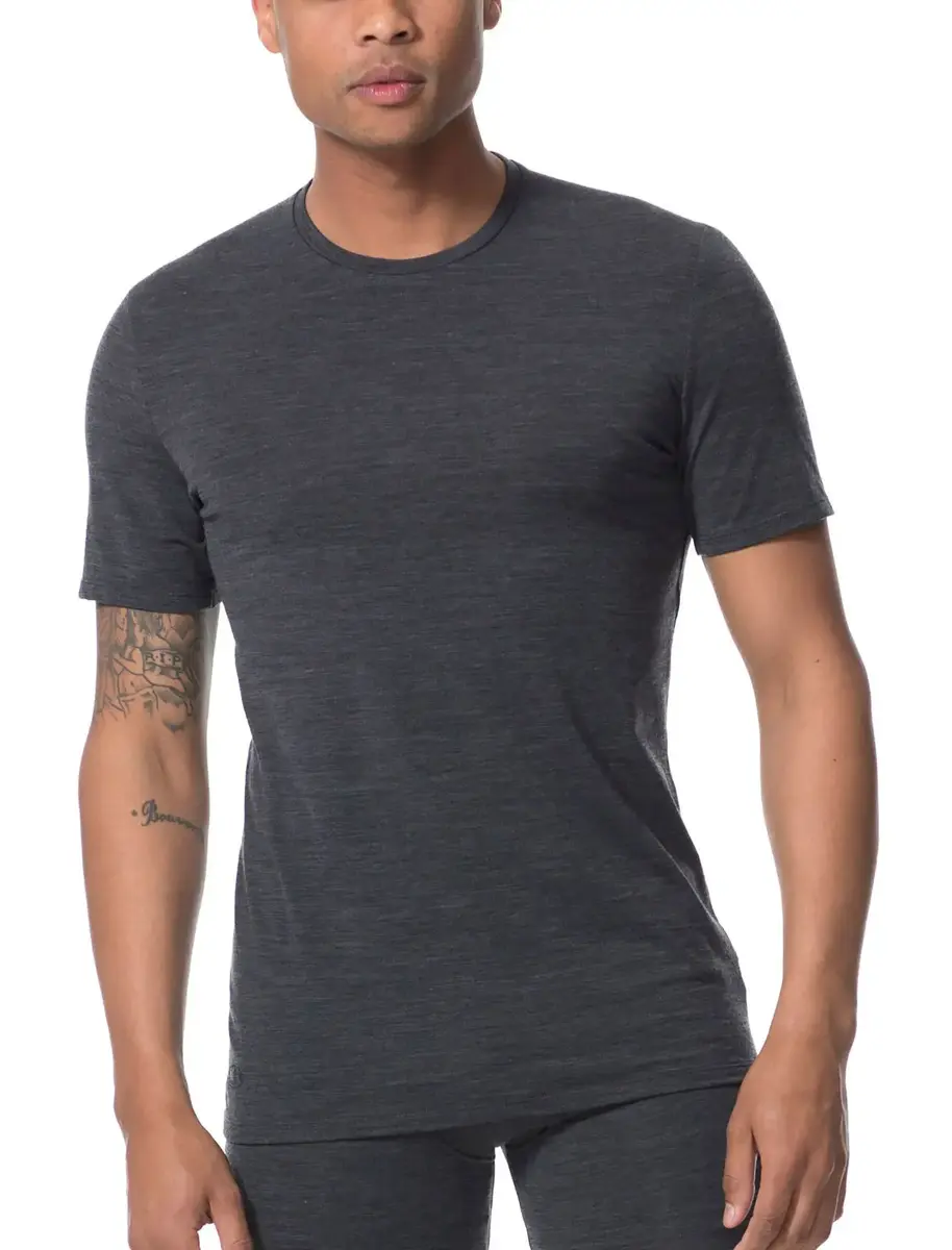 Icebreaker Anatomica Men's Crew Neck T-Shirt Photo 4