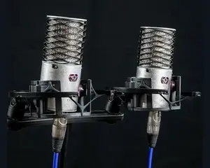 Aston Microphones Origin kondensatora mikrofonu stereo pāris
