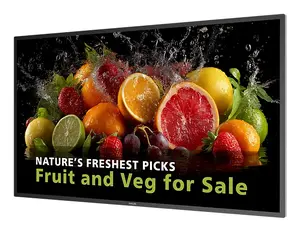 Philips 5000 series 43BDL5050D Цифровая панель LCD 43" 4K Ultra HD Wi-Fi Android 14 600 кд/м² 24/7