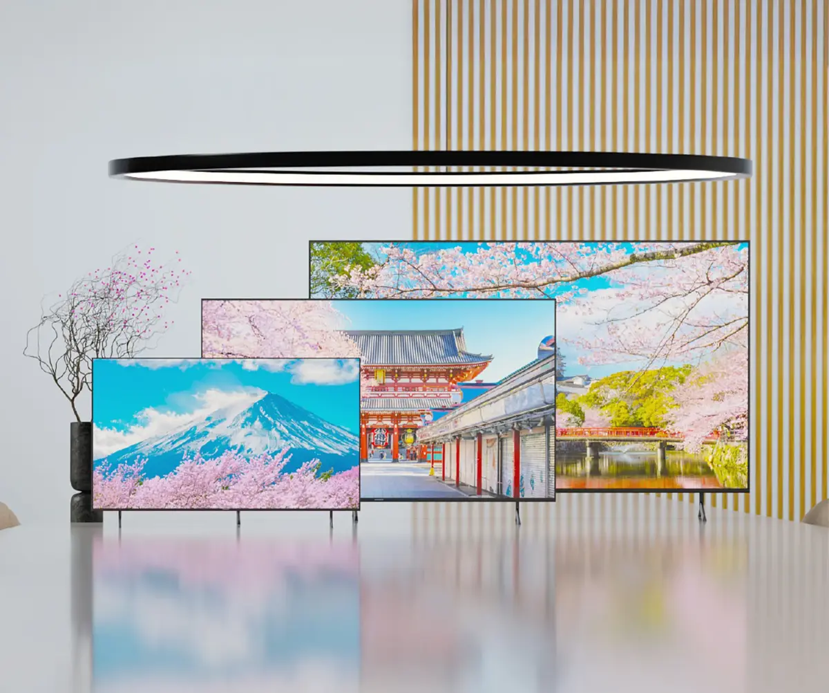 JAPANNEXT JN-IPS650UHD60F 65" 4K Ultra HD IPS monitors Photo 4