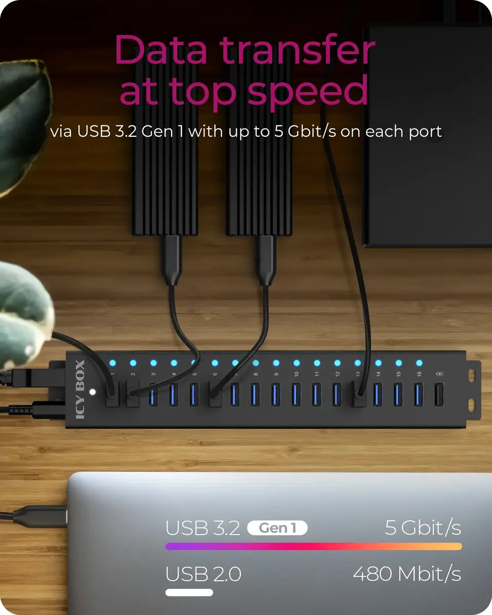 ICY BOX 17-portu USB 3.2 Gen 1 centrmezgls Photo 5