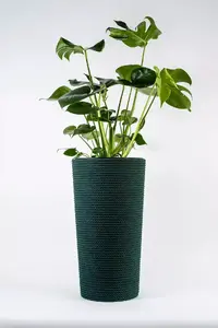 Adoni Cotton Flower Pot with Insert, Green, Handcrafted