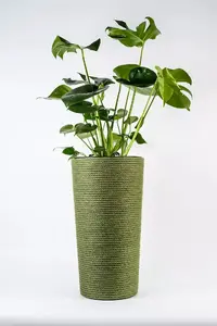 Adoni Handcrafted Green Jute Flower Pot with Insert