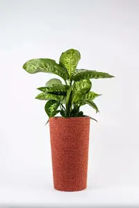 Adoni Jute Flower Pot Red with Insert 28x47 cm Handcrafted