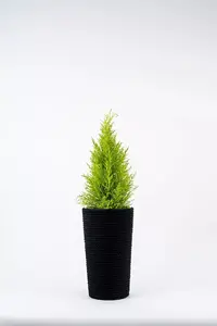 Adoni Cotton Flower Pot Black with Insert 22x36 cm Handcrafted