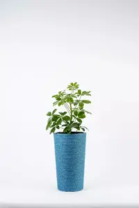 Adoni Handcrafted Blue Jute Flower Pot with Insert