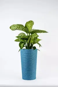 Adoni Jute Flower Pot Blue with Insert 28x47 cm Handcrafted