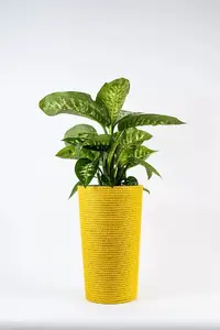 Adoni Handcrafted Jute Flower Pot with Insert, Yellow, 28x47 cm