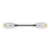 FiberX FX-I260-010 DisplayPort AOC kabelis 10 m Photo 2