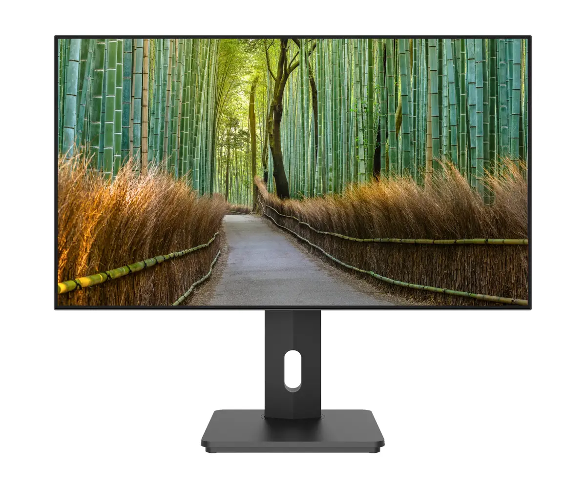 Монитор JAPANNEXT JN-27IPS4FLWQHDR-HSP 27" WQHD IPS Photo 2