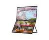 JAPANNEXT JN-DMD-IPS156F 15.6" Full HD IPS monitors Photo 2