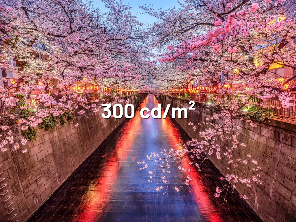 Монитор JAPANNEXT JN-I238FHD120F-HSP-YE 23.8 дюйма Photo 12