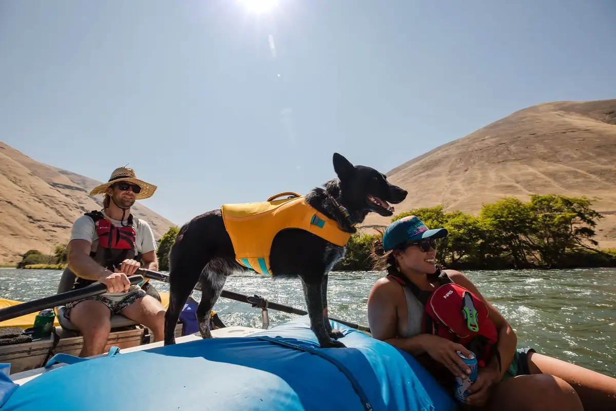 Ruffwear Float Coat suņu glābšanas veste - izmērs S Photo 9