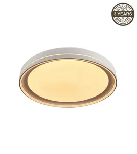 LED Ceiling Lamp B2361-1M-R 39cm 30W Dimmable