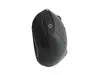 Conceptronic ORAZIO ERGO bezvadu tastatūras un peles komplekts Photo 3