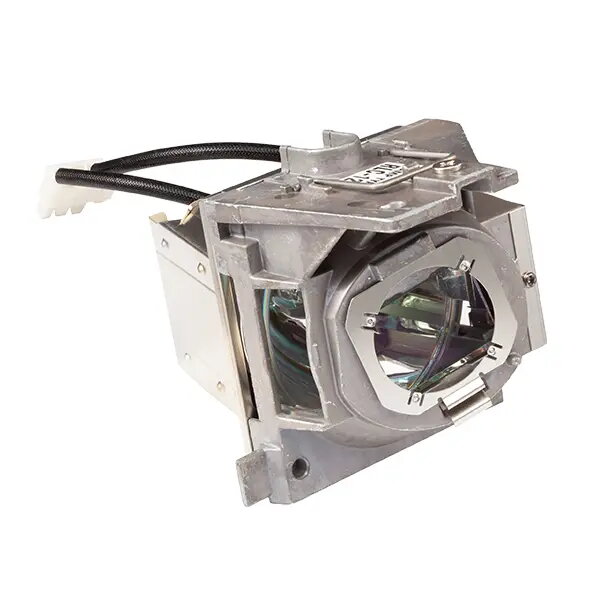 Projector Bulbs & Lamps