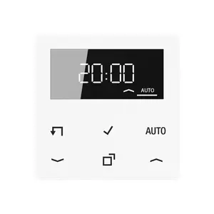 JUNG A1750DWW Wall Plate for Timer with Display