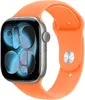 Apple Sport Band for 46mm Smartwatch - Clementine Photo 2